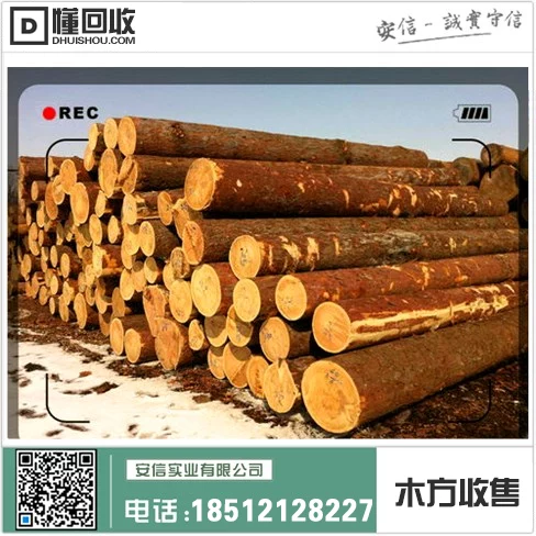 嘉定区10x10木方批发中心插图2 嘉定区10x10木方批发中心插图2
